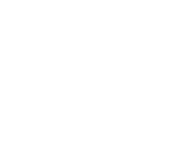 Estrela do norte