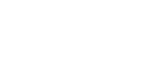 Instituto Vale